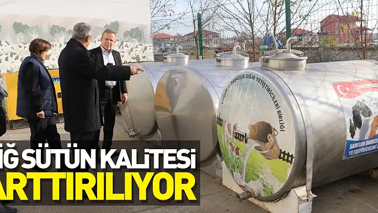 Samsun'da çiğ sütün kalitesi arttırılıyor