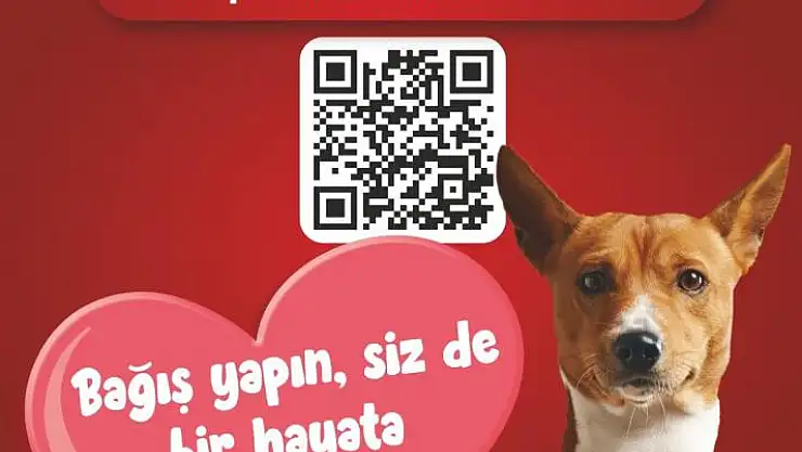 SBB can dostlar için bağış kampanyası başlattı