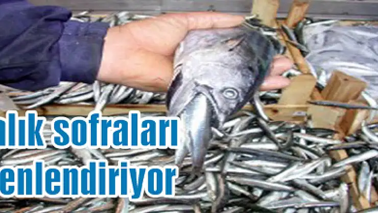 Balık sofraları şenlendiriyor