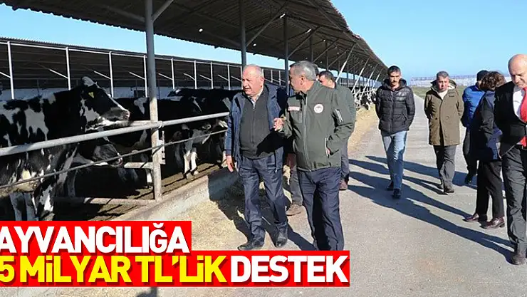 Samsun'da hayvancılığa 1,5 milyar TL'lik destek