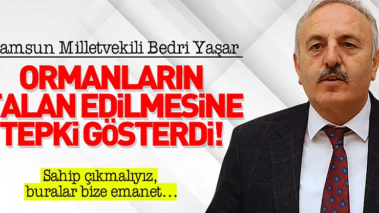 Ormanların talan edilmesine tepki