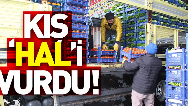KIŞ 'HAL'İ VURDU!