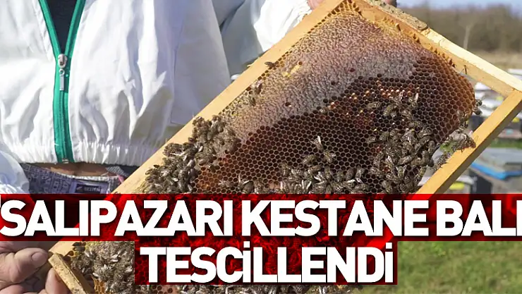 'Salıpazarı kestane balı' coğrafi işaret aldı