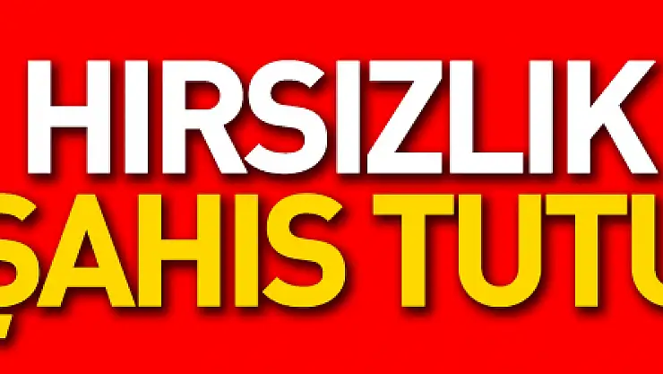 Samsun'da bağ evlerinden hırsızlık yapan şahıs tutuklandı