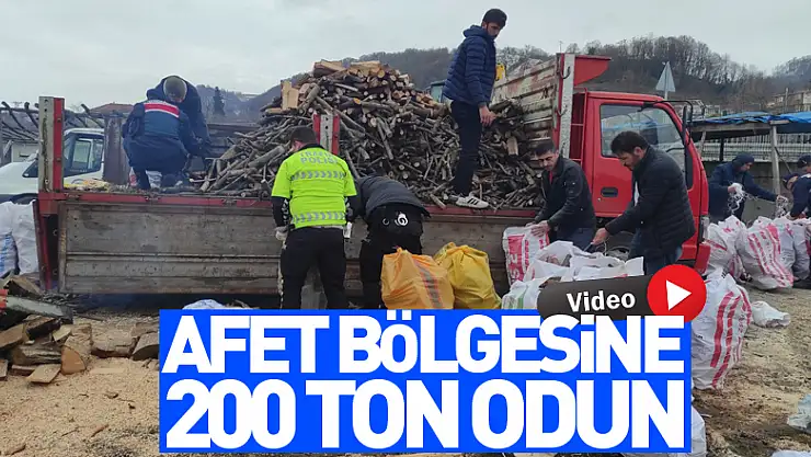 Salıpazarı'ndan Afet Bölgesine 200 Ton Odun