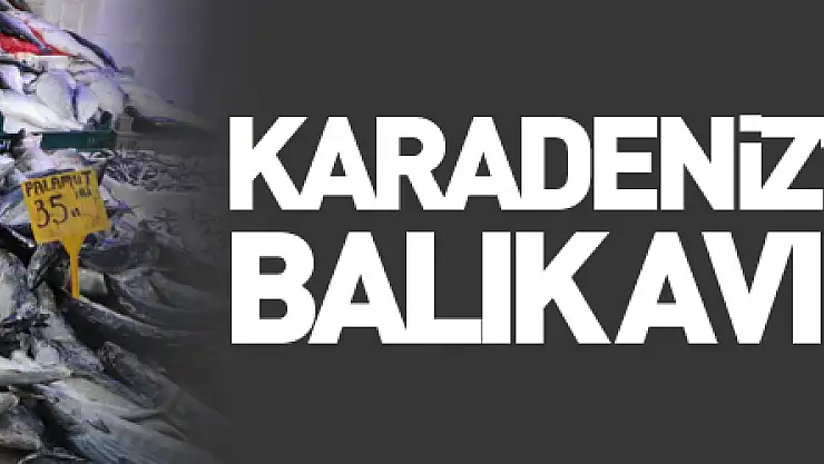 Karadeniz'deki fırtına balık avını aksattı, tezgahlar buzhane balıklarına kaldı