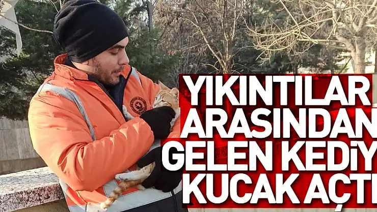 Yıkıntılar arasından gelen kediye kucak açtı