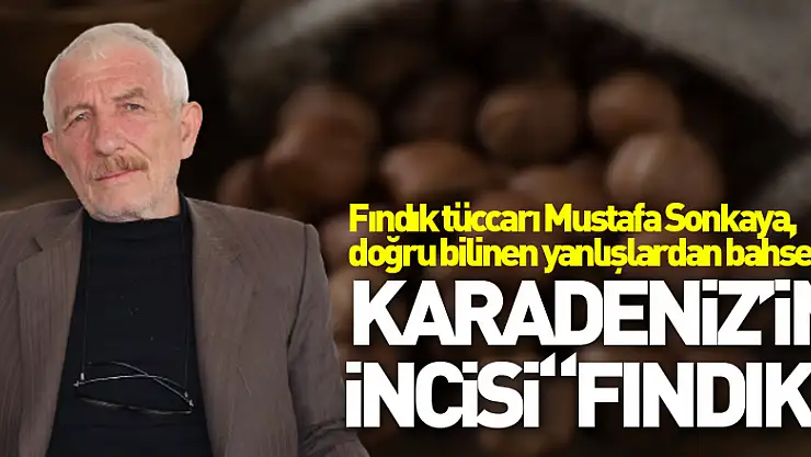KARADENİZ'İN İNCİSİ 'FINDIK'