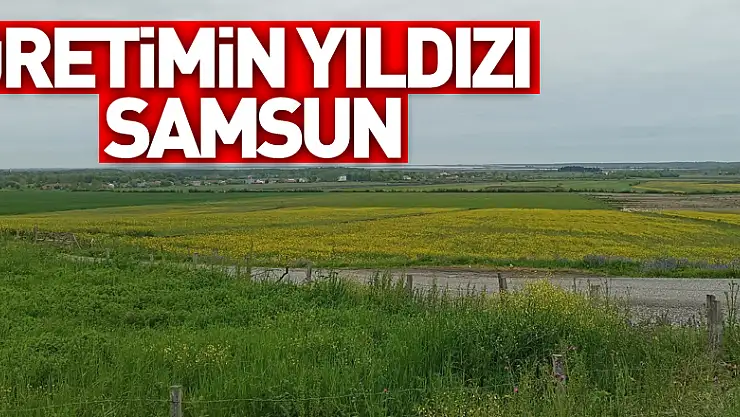 Türkiye'de tarımsal üretimin yıldızı Samsun: Birçok üründe ilk sırada