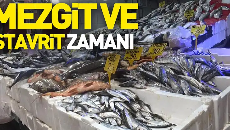 Hamside son günler, şimdi mezgit ve istavrit zamanı