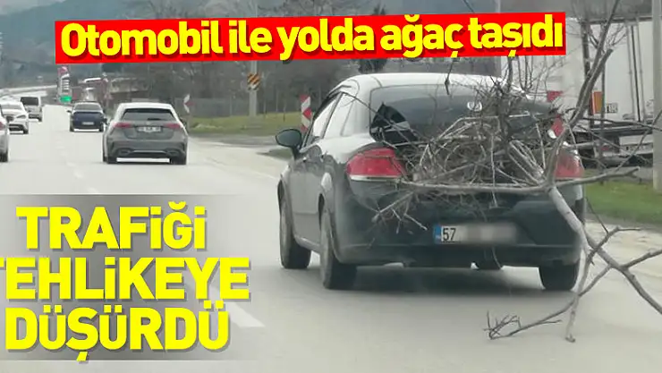 Otomobil ile yolda ağaç taşıdı, trafiği tehlikeye düşürdü