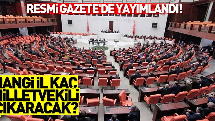 Hangi il kaç milletvekili çıkaracak? Resmi Gazete'de yayımlandı!