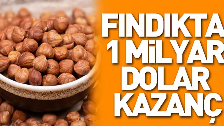 fındıkta  1 milyar dolar kazanç