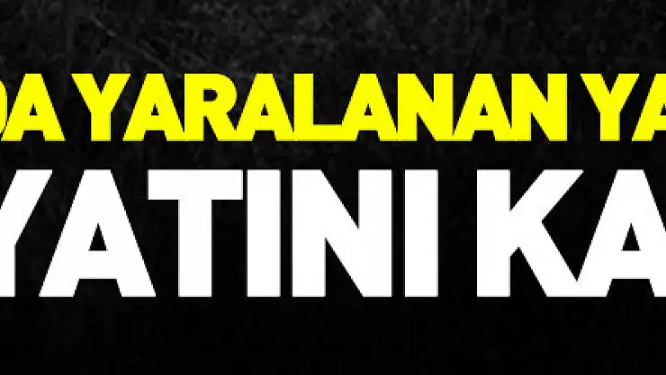 Kazada yaralanan yaşlı adam da hayatını kaybetti