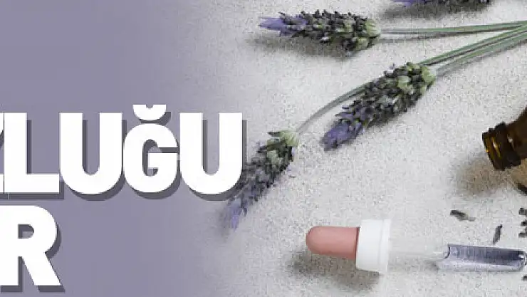 Bu yağ uykusuzluğu gideriyor