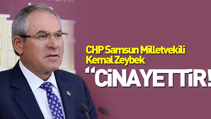 ZEYBEK 'CİNAYETTİR!'