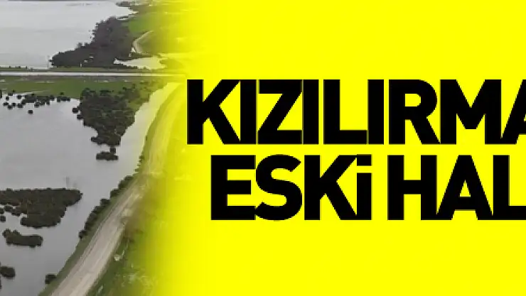 Kızılırmak Deltası eski sulak haline döndü
