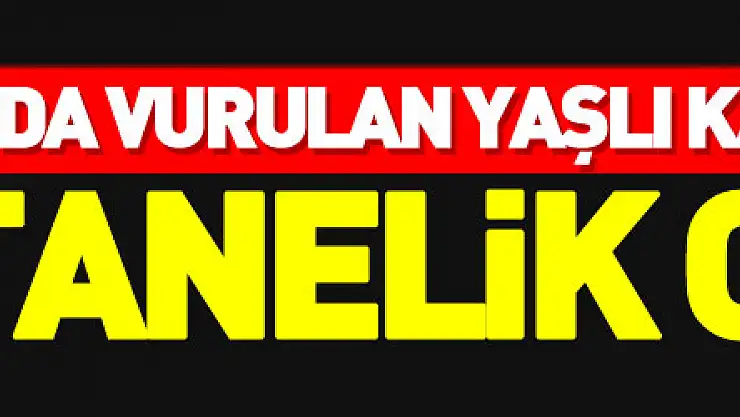 Balkonda vurulan yaşlı kadın hastanelik oldu