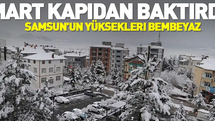 Mart kapıdan baktırdı: Samsun'un yüksekleri bembeyaz