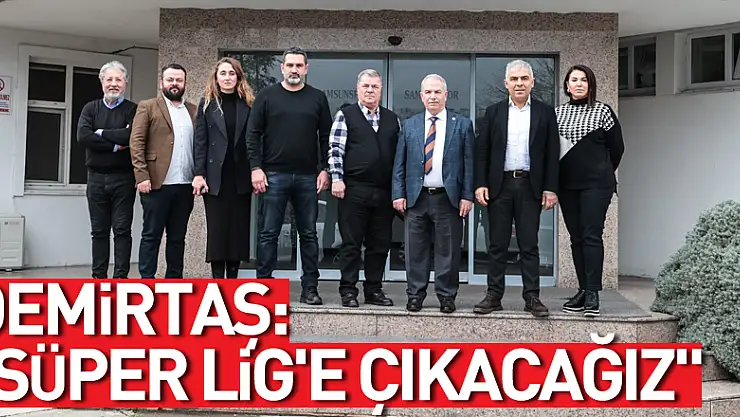 Demirtaş: 'Süper Lig'e çıkacağız'