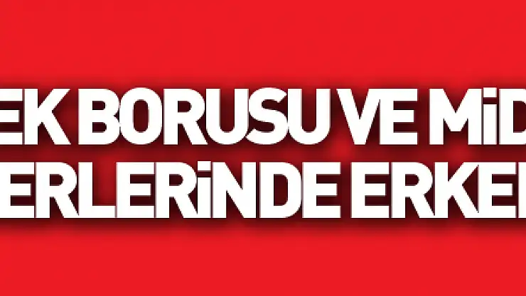 Yemek borusu ve mide-bağırsak kanserlerinde erken tanı önemli