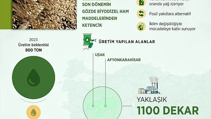 Biyodizel'de 'Ketencik' alternatifi