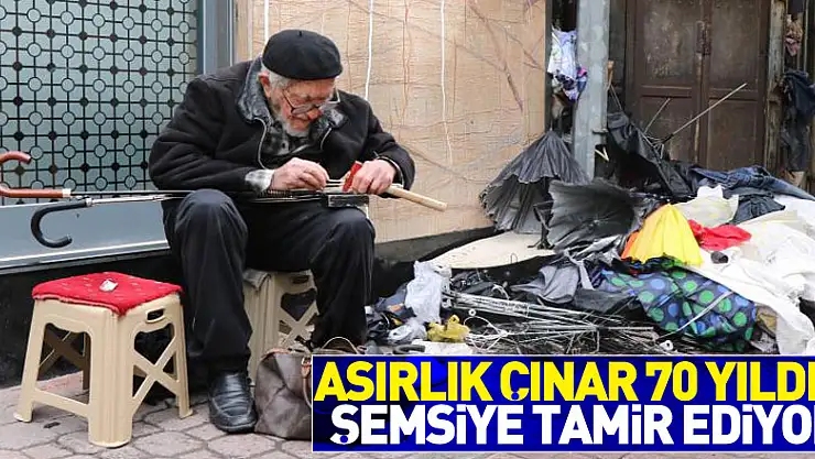 Asırlık çınar 70 yıldır şemsiye tamir ediyor 