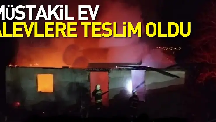 Müstakil ev alevlere teslim oldu
