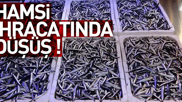 Hamsi ihracatında düşüş !