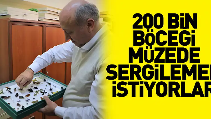10 yılda topladıkları 200 bin böceği müzede sergilemek istiyorlar