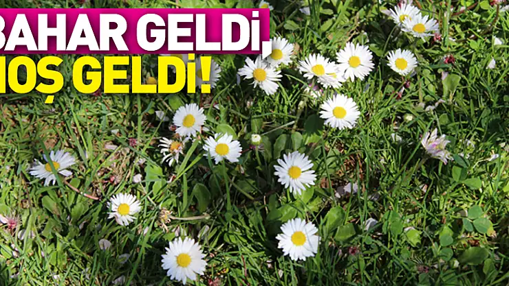 BAHAR GELDİ, HOŞ GELDİ!