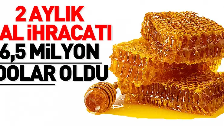 2 aylık bal ihracatı 6,5 milyon dolar oldu