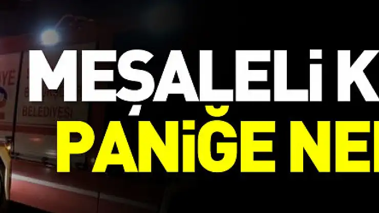 Meşaleli doğum günü kutlaması paniğe neden oldu