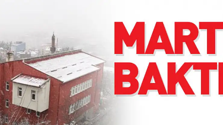 Mart kapıdan baktırdı: Kavak beyaza büründü