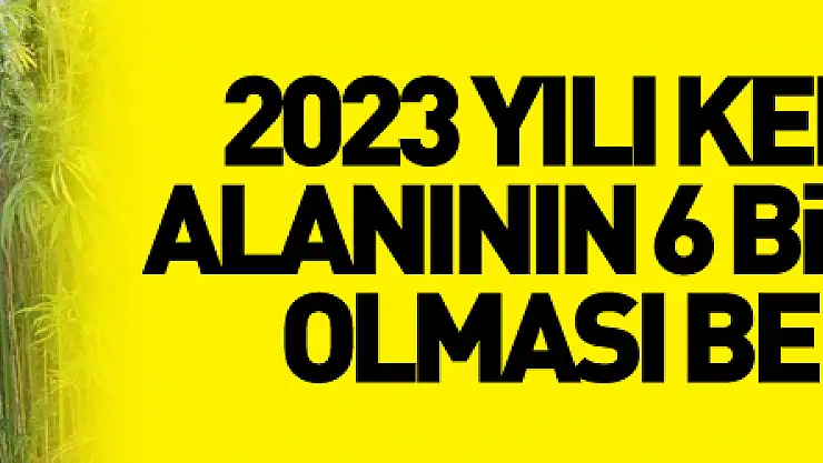 2023 yılı kenevir ekim alanının 6 bin 500 dekar olması bekleniyor