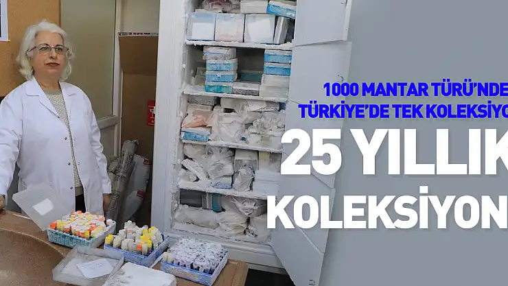 Türkiye için çok önemli bir mantar koleksiyonu: 25 yılda doğadan toplandı