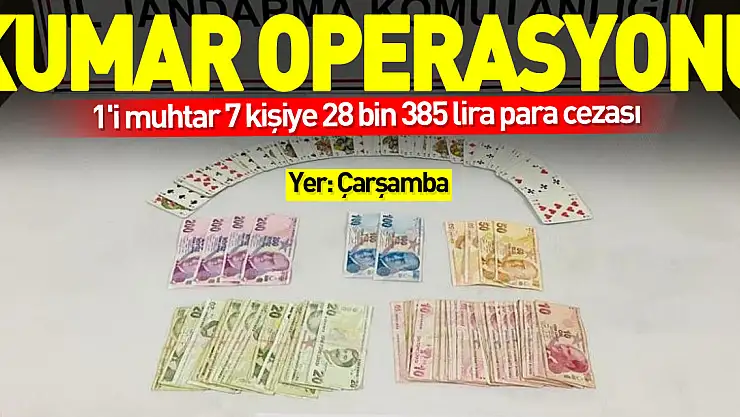 Jandarmadan kumar operasyonu: 1'i muhtar 7 kişiye 28 bin 385 lira para cezası