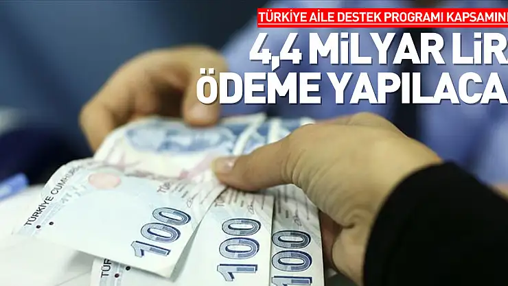 Türkiye Aile Destek Programı kapsamında 4,4 milyar lira ödeme yapılacak