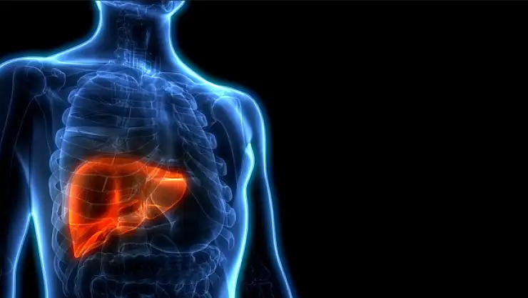 Ramazanda arınan karaciğerinizi bayramda yeniden kirletmeyin