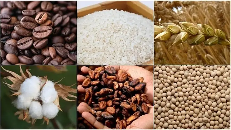 Emtia piyasası, hızlı yükselişlerin yaşandığı bir haftayı geride bıraktı