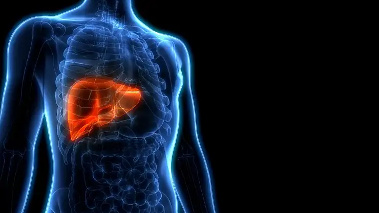 Ramazanda arınan karaciğerinizi bayramda yeniden kirletmeyin