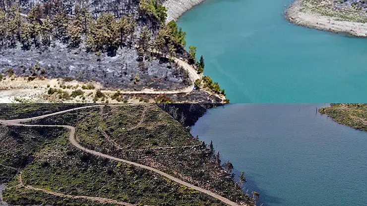 Cumhuriyet tarihinin en büyük yangınından sonra griden yeşile dönüş