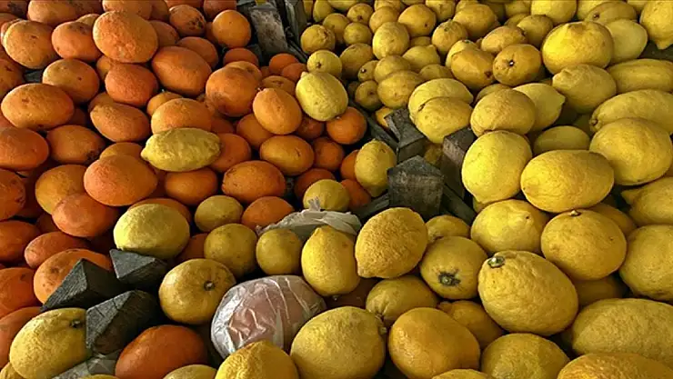 Narenciye ihracatında yılın ilk çeyreğini mandalina ve limon sırtladı