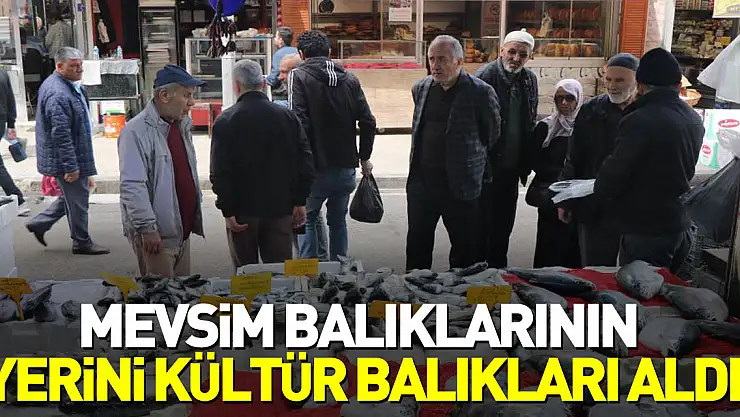 Mevsim balıklarının yerini kültür balıkları aldı