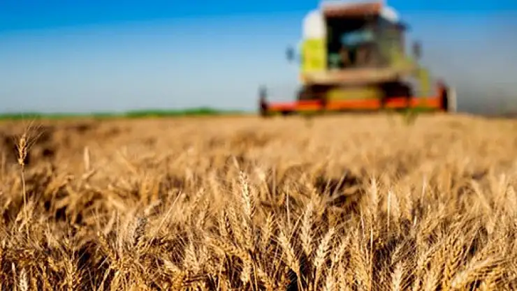 Bu kanunla tarımda artık üretim planlaması yapılacak