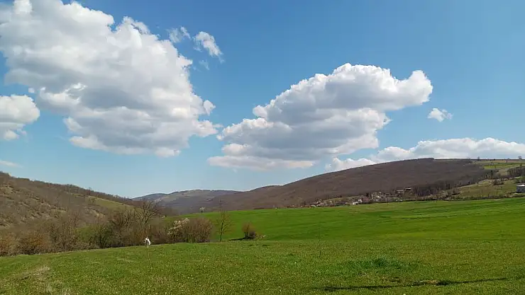 'Sakin, huzurlu bir hayat ve evlilik kalp hastalıklarından koruyor'