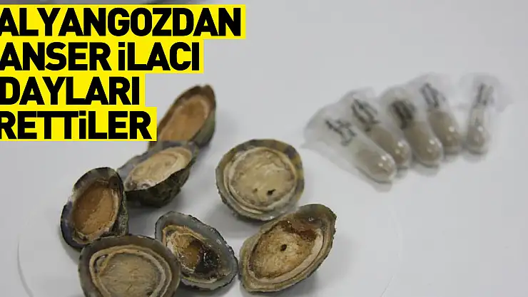 Deniz salyangozundan kanser ilacı adayları ürettiler