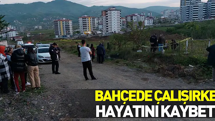 Bahçede çalışırken hayatını kaybetti