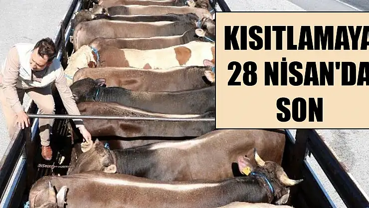 Şap hastalığı nedeniyle durdurulan hayvan hareketleri kısıtlaması 28 Nisan'da kalkıyor