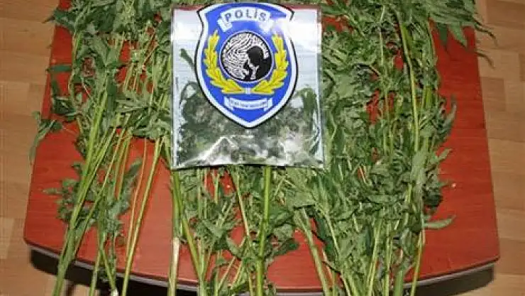 Operasyonda yakalanan 4 kişi serbest